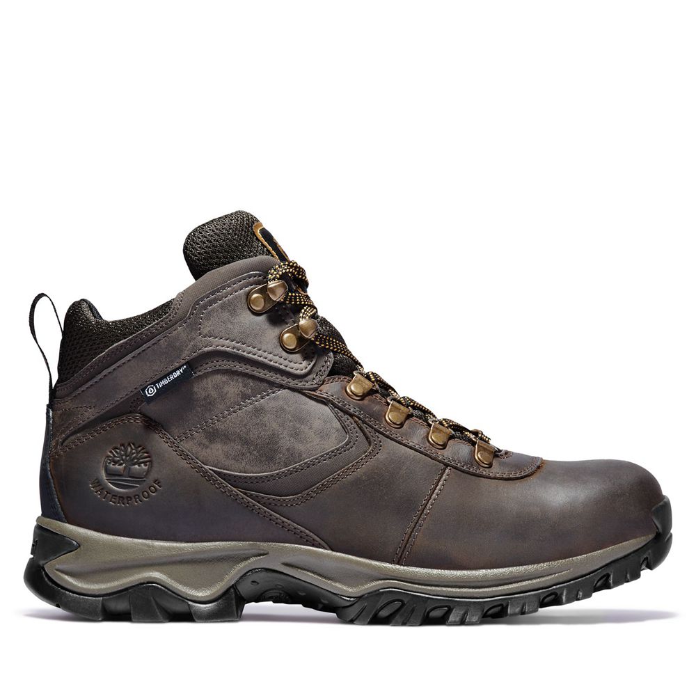 Bocanci De Drumeție Timberland Barbati Maro Inchis - Mt. Maddsen Mid Waterproof - Romania - TVIKDU28